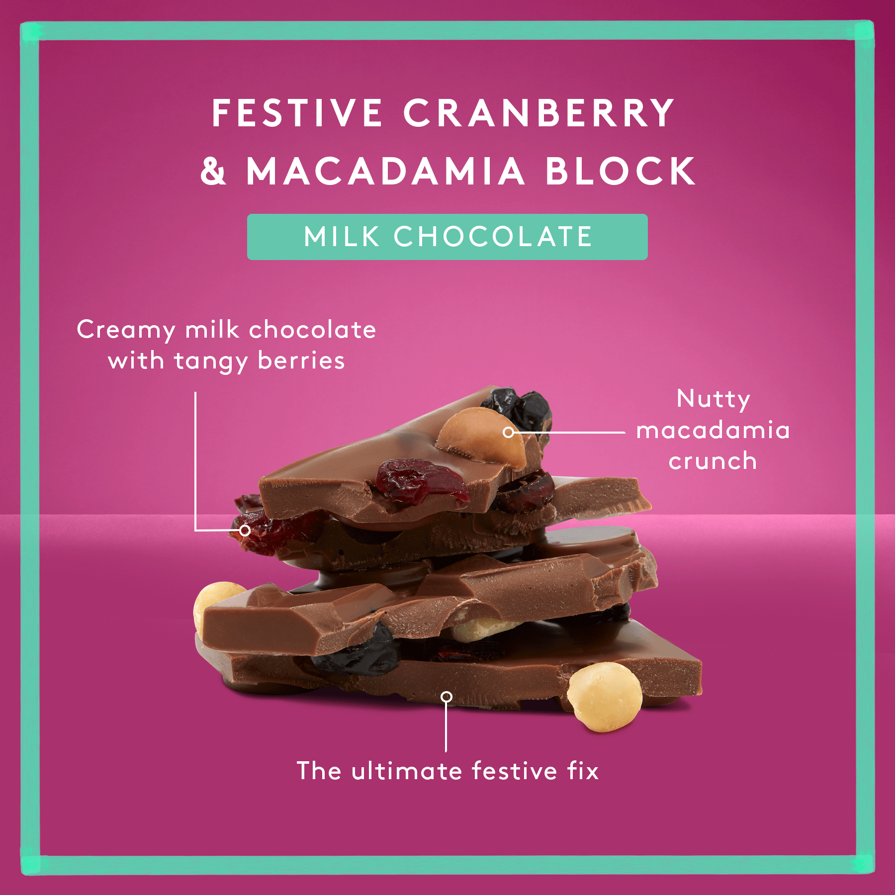 Festive Cranberry Macadamia & Cherry | Limited Edition Block