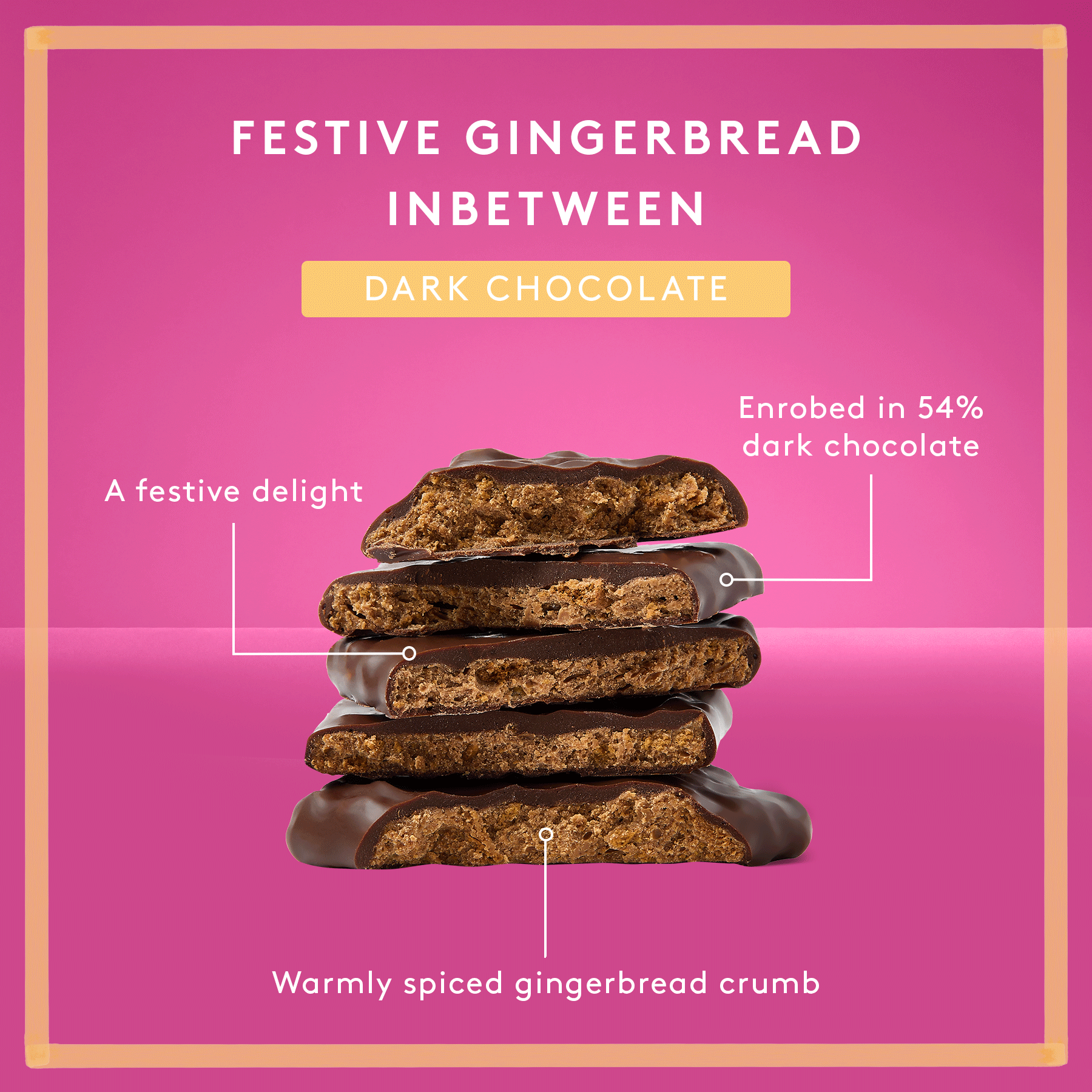Festive Gingerbread Inbetween | Dark Chocolate